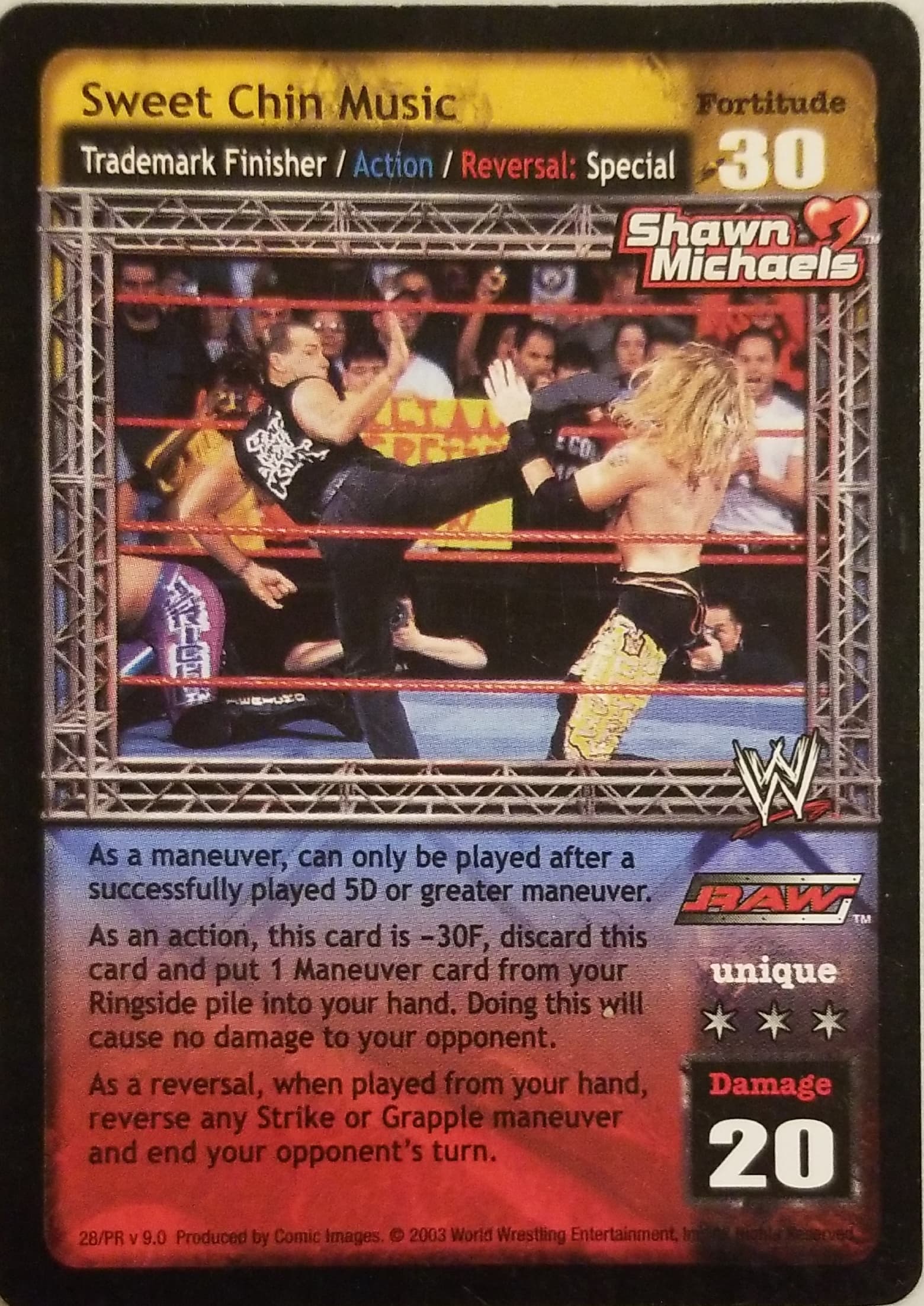 Sweet Chin Music (Promo)